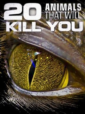 Nat Geo Wild: 20 животных, которые могут вас убить (2012) смотреть онлайн hd